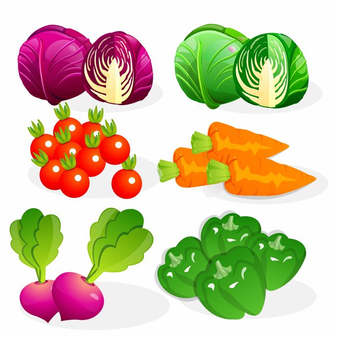 690x690 Free Vector Vegetables Food Graphics Free Vectors