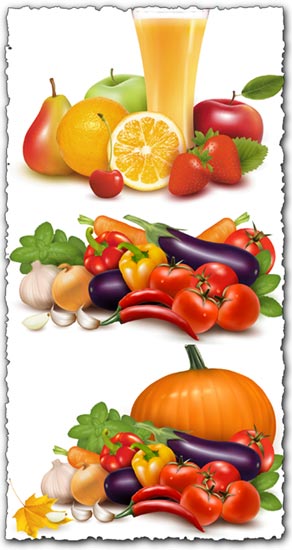 292x550 Fresh Vegetables Vectors Collection