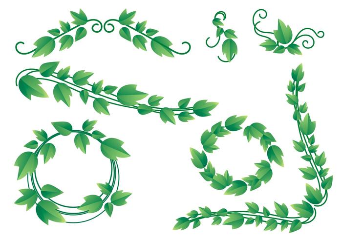 700x490 Lovely Ivy Vine Vectors