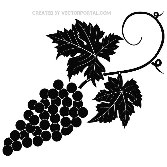 660x660 Download Vector