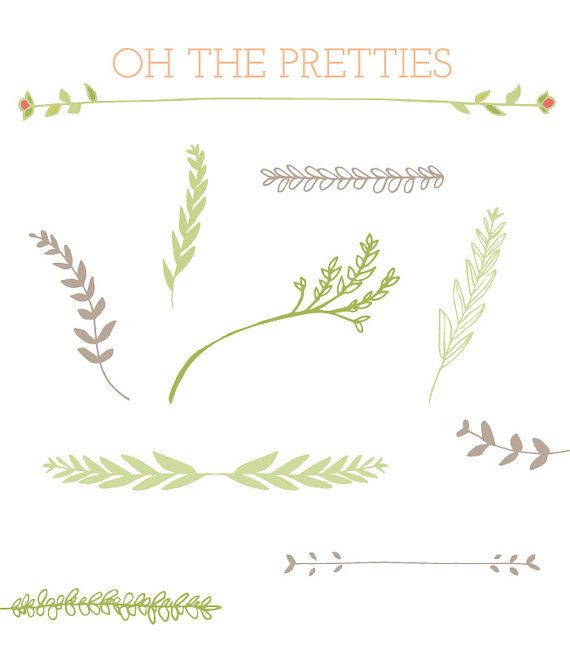 570x651 Free Vector Vines Leaves Vines Chalkboard Inspiration Chalkboard