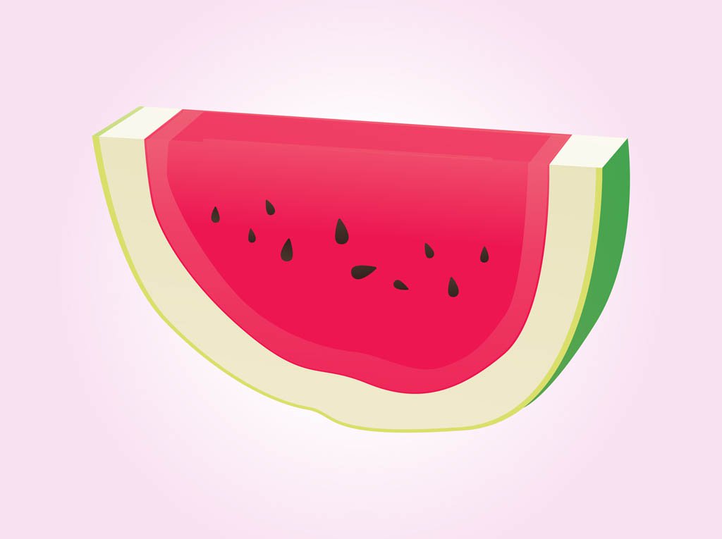 1024x765 Watermelon Vector Vector Art Amp Graphics