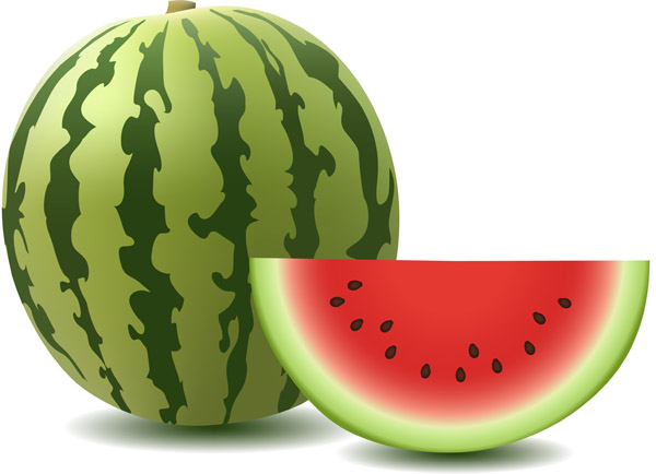 600x434 Watermelon Clip Art Free Vector 4vector