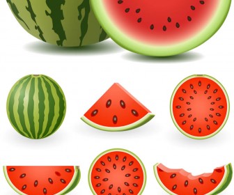 336x280 Watermelon Vector Vector Graphics Blog