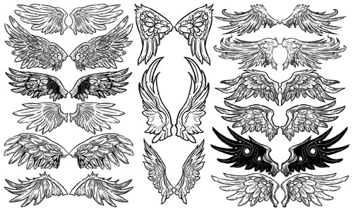 500x300 Totem Variety Of Wings Vector Free Vector 4vector