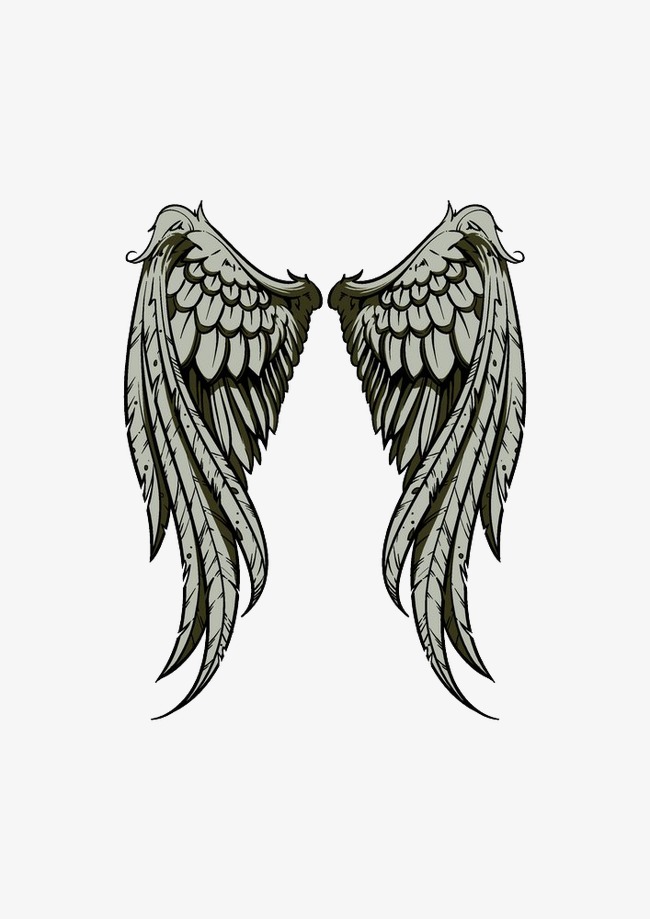650x919 Vector Wings, Wings Vector, Fly, Wing Png And Vector For Free Download
