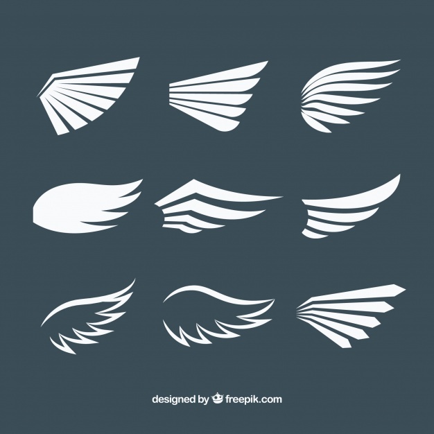 626x626 Wings Vectors, Photos And Psd Files Free Download