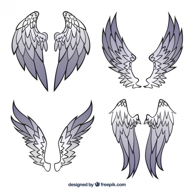 626x626 Wings Collection Vector Free Download