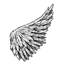 270x270 Nice Free Vector Wings On Clipart Panda