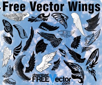 336x280 Free Vector Wings Illustration