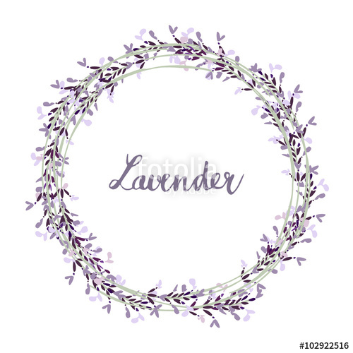 500x500 Hand Drawn Lavender Wreath, Vector Illustration Backgroundr Stock
