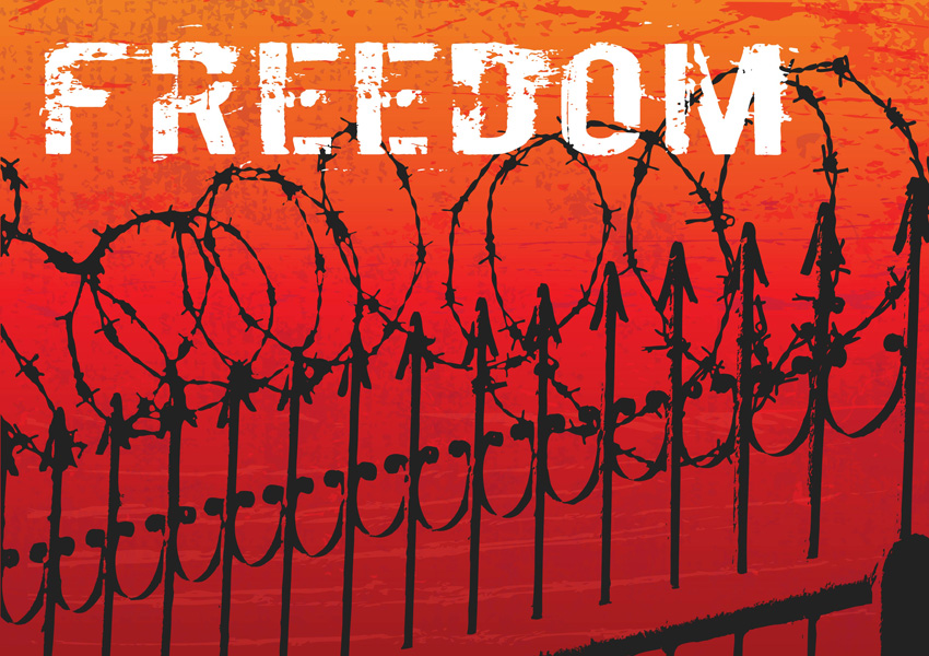 850x600 Freedom Vector Art Vector Art Amp Graphics