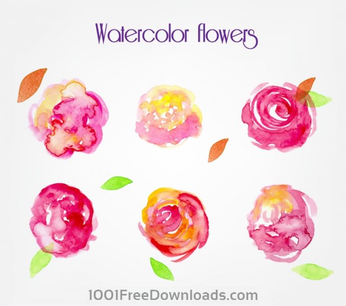 678x600 Free Pics Of Flowers Free High Resolution Images