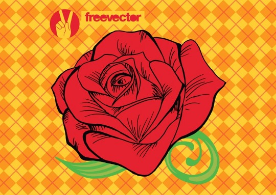 540x383 Free Vector Rose