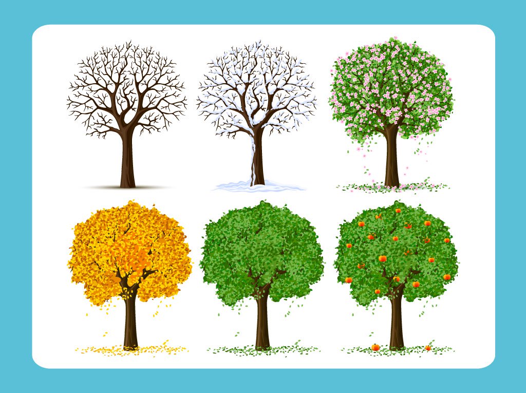 1024x765 Free Vector Tree