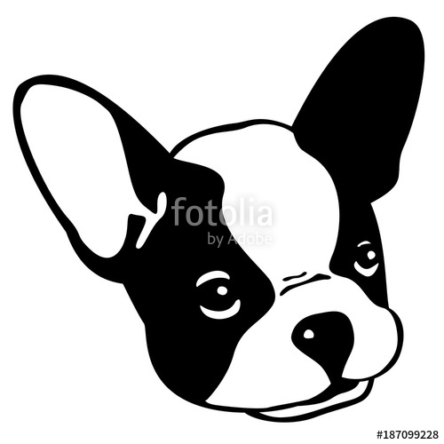 500x500 Dog French Bulldog Vector Icon Head Face Illustration Stock Image