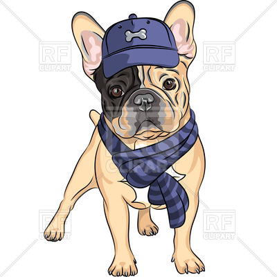 400x400 Dog In A Blue Cap And Scarf
