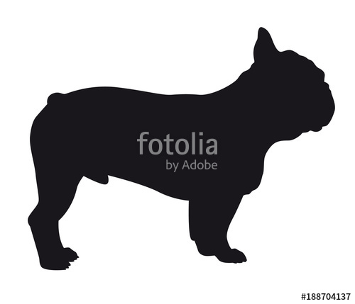 500x429 French Bulldog
