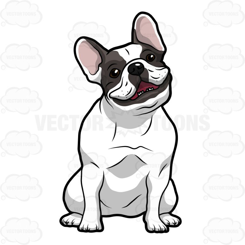 800x800 French Bulldog Sitting With A Smile On Its Face Clipart By