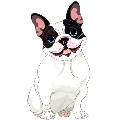 380x400 French Bulldog Vector Photo