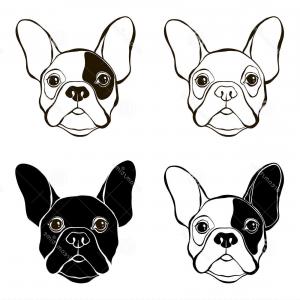 300x300 Hand Drawn Portrait French Bulldog Vector Orangiausa