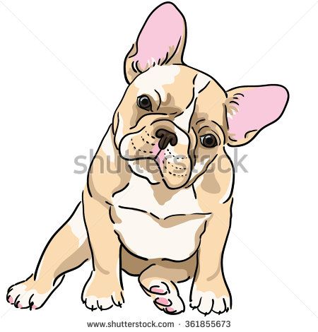 450x470 French Bulldog Illustration