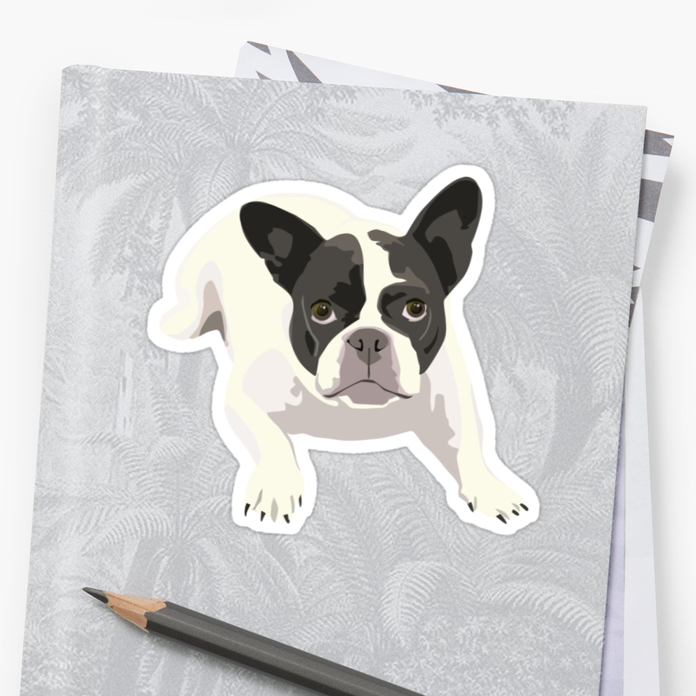 1000x1000 Black And White French Bulldog