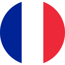 250x250 France Flag Vector