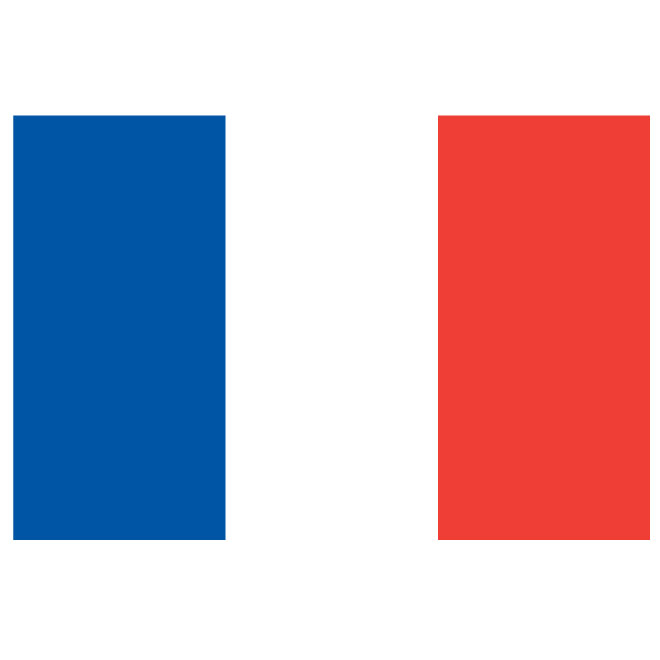 660x660 French Flag