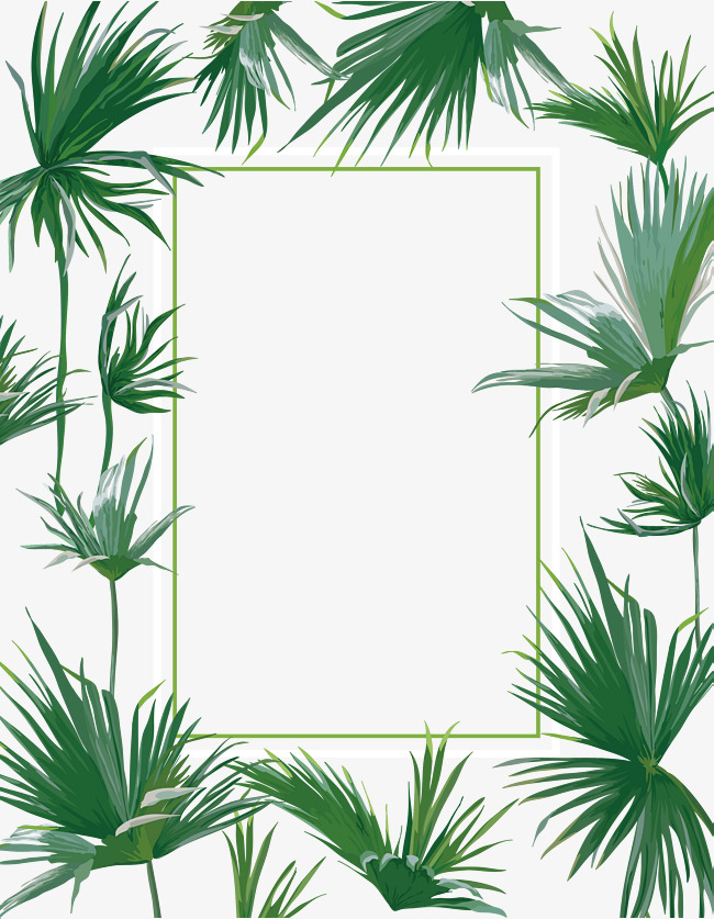 650x837 Summer Plant Fresh Vector Border, Summer Vector, Plant Vector