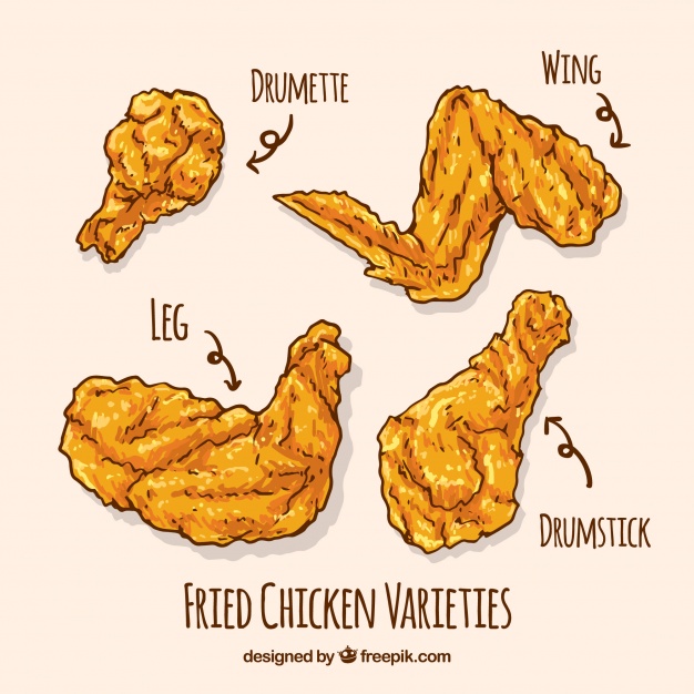 626x626 Variety Of Hand Drawn Fried Chicken Vector Free Download