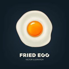 240x240 Search Photos Fried Egg Vector