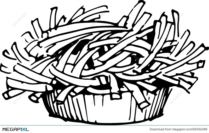 800x511 French Fries.vector Illustration Illustration 65052486
