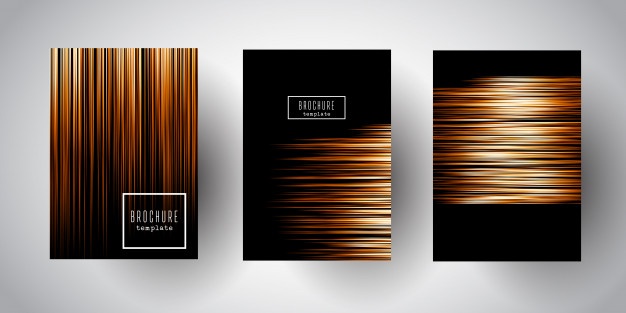 626x313 Fringe Vectors, Photos And Psd Files Free Download