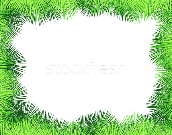 600x471 Palm Fringe Vector Illustration Robert Adrian Hillman (Tawng