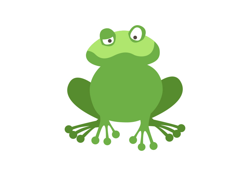800x566 Flat Frog Vector Illustration