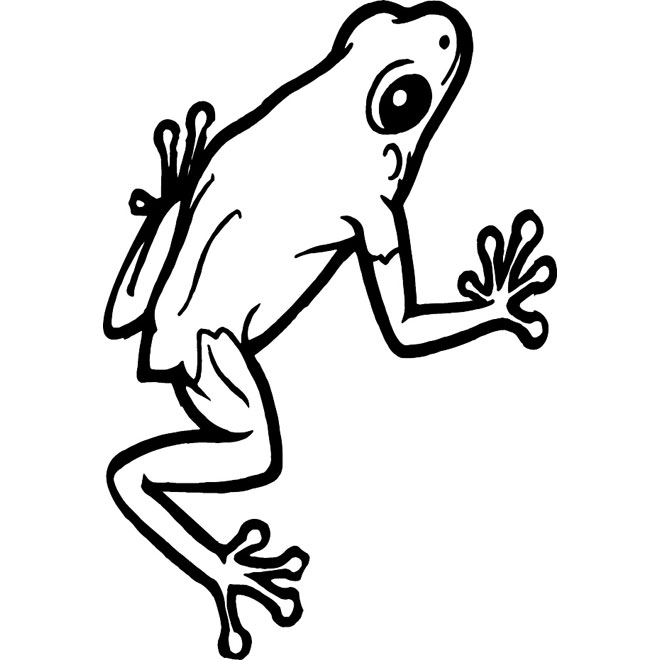 660x660 Frog Vector Image 2
