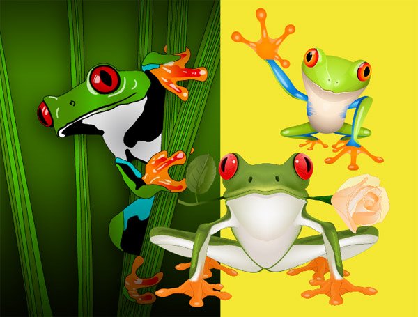 600x455 Free 3 Cute Frog Psd Files, Vectors Amp Graphics