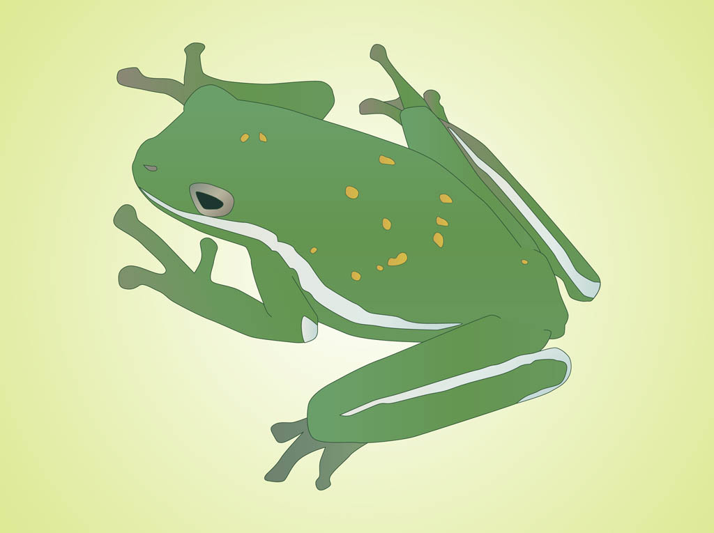 1024x765 Frog Vector Vector Art Amp Graphics