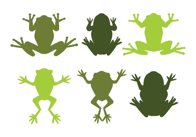 632x443 Green Tree Frog Vectors Free Vector Download 201241 Cannypic