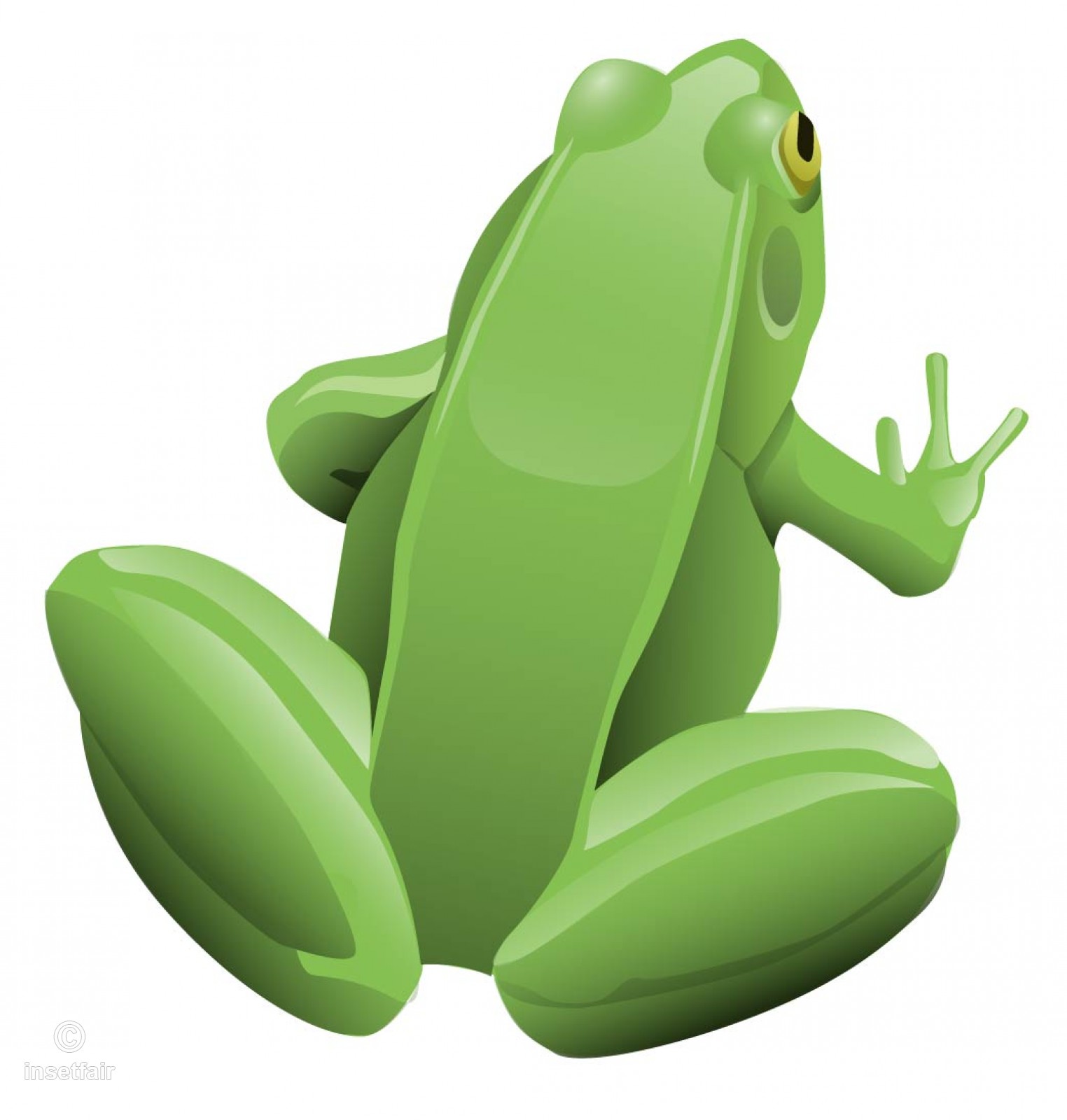 1524x1600 Green Sitting Frog Vector Drawing Free Download