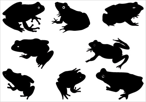 501x351 Toad Clipart Silhouette