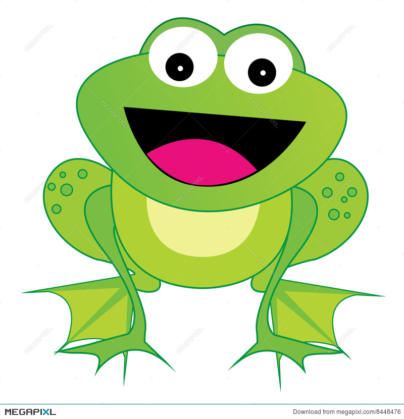 800x830 Frog Vector
