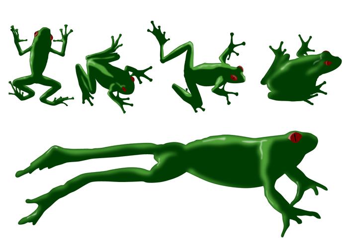 700x490 Frog Vectors
