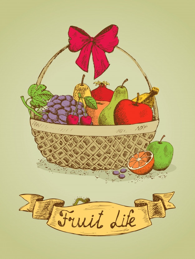626x834 Fruit Basket Vectors, Photos And Psd Files Free Download