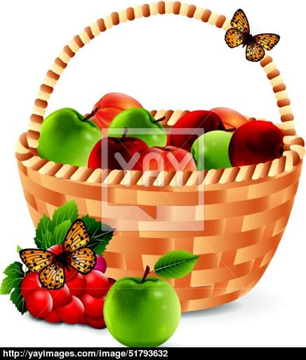 436x512 Fruit Basket Vector