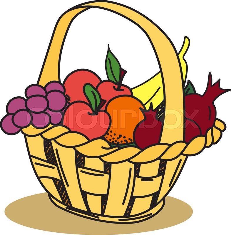 786x800 Fruit Basket Apple, Grape, Banana, Pomegranate. Hand Drawn, Doodle