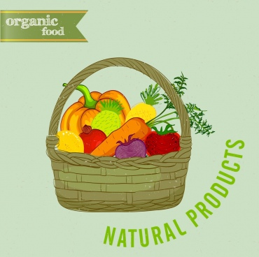 370x368 Fruit Basket Vector Free Vector Download (2,553 Free Vector) For