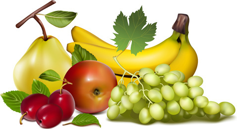 478x261 Fruits Basket Vectores Free Vector Download (223,170 Free Vector