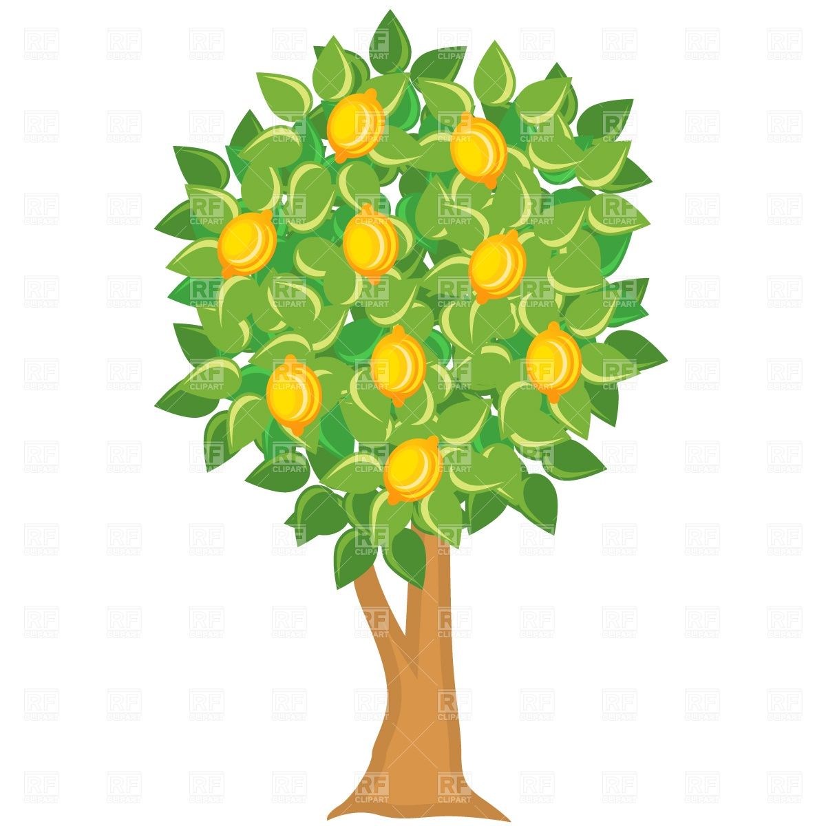 1200x1200 Fruit Tree Clipart Clipart Panda
